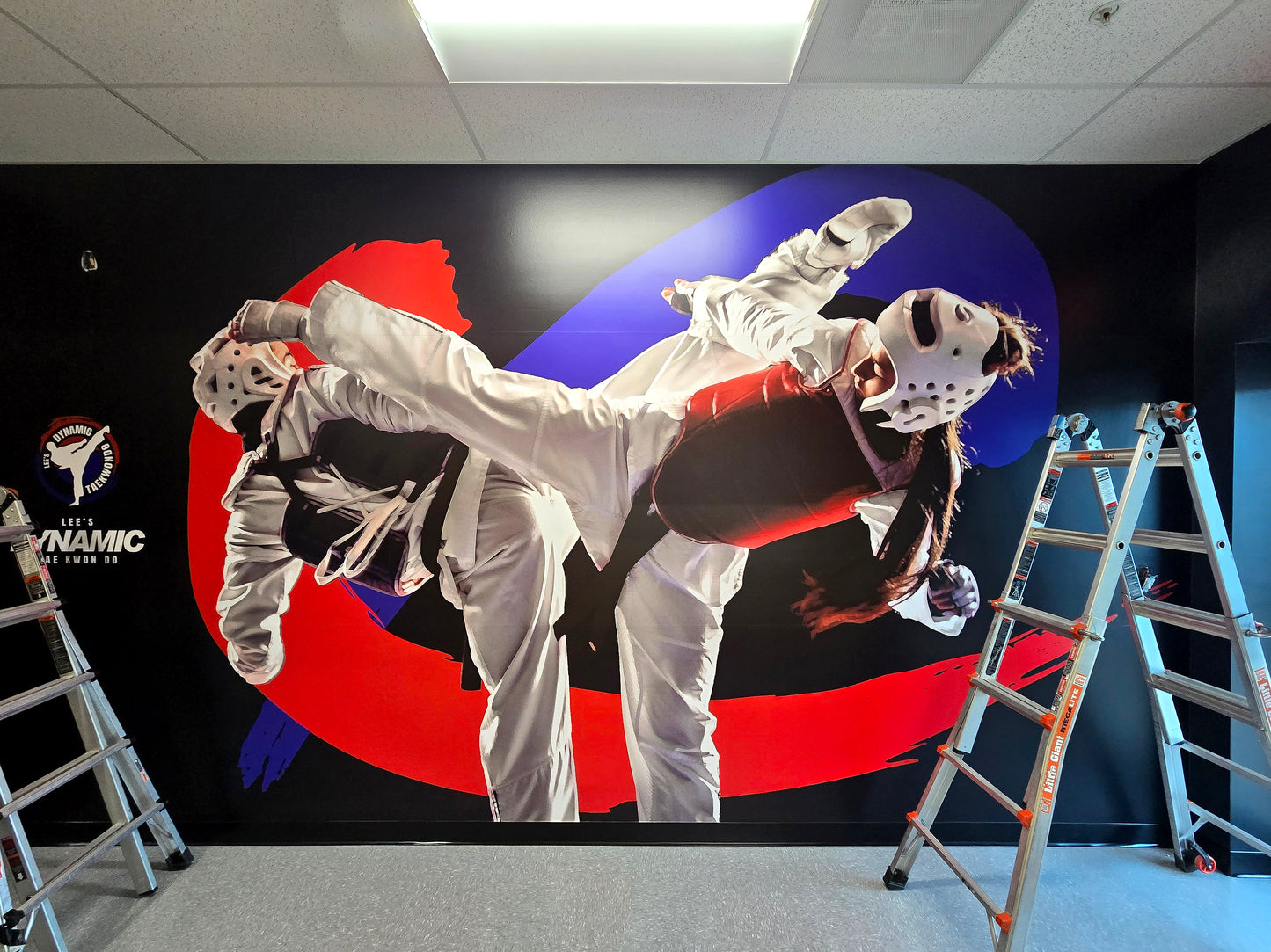 Dynamic Tae Kwon Do