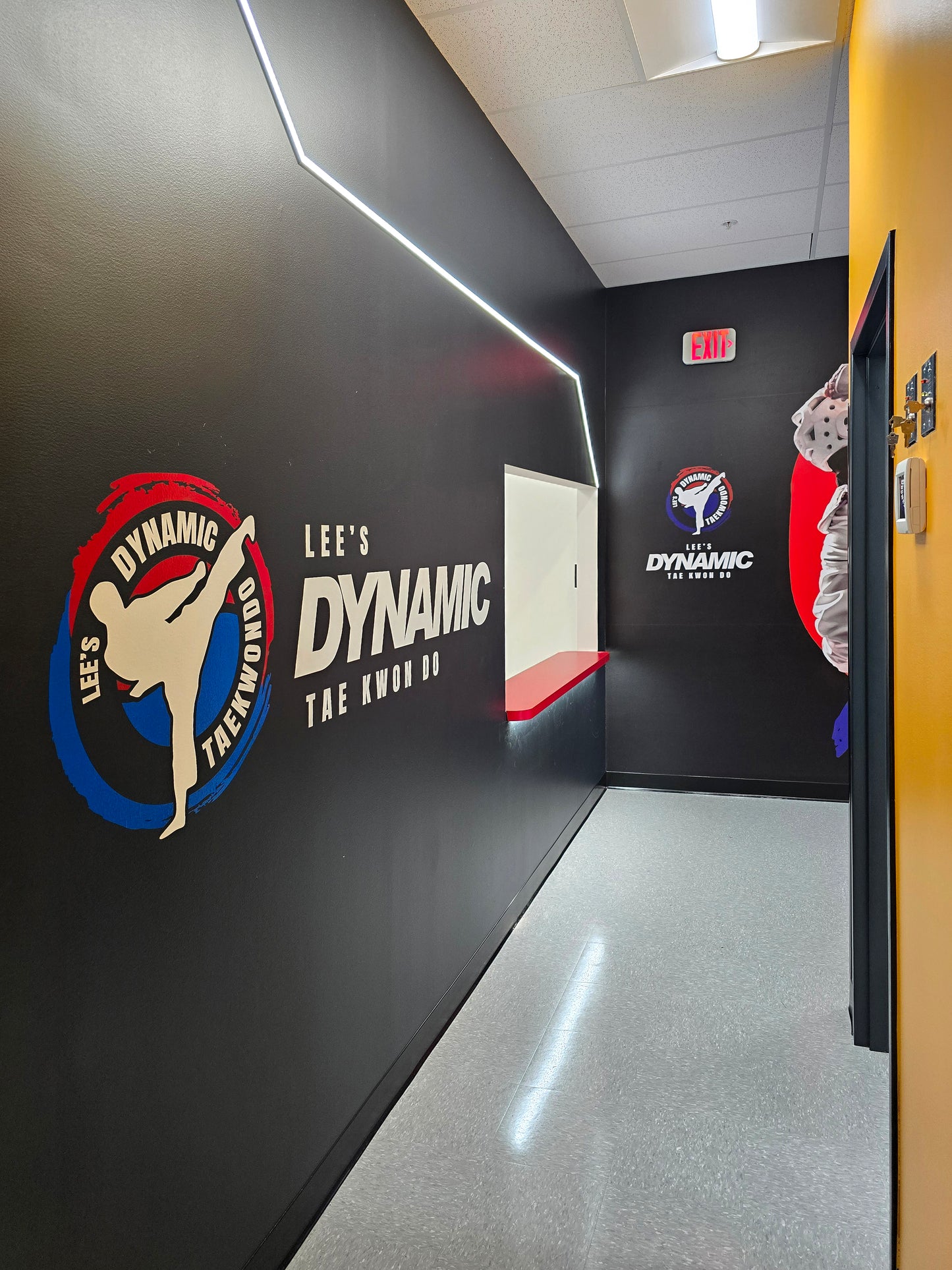 Dynamic Tae Kwon Do