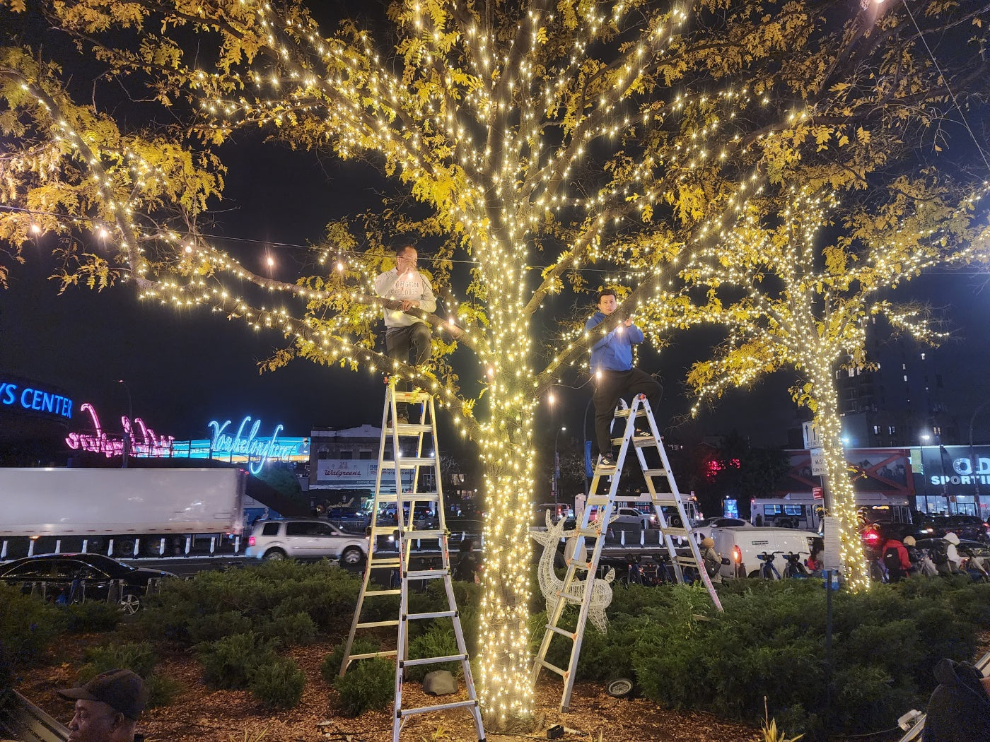 Winter Events