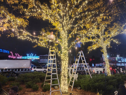 Winter Events